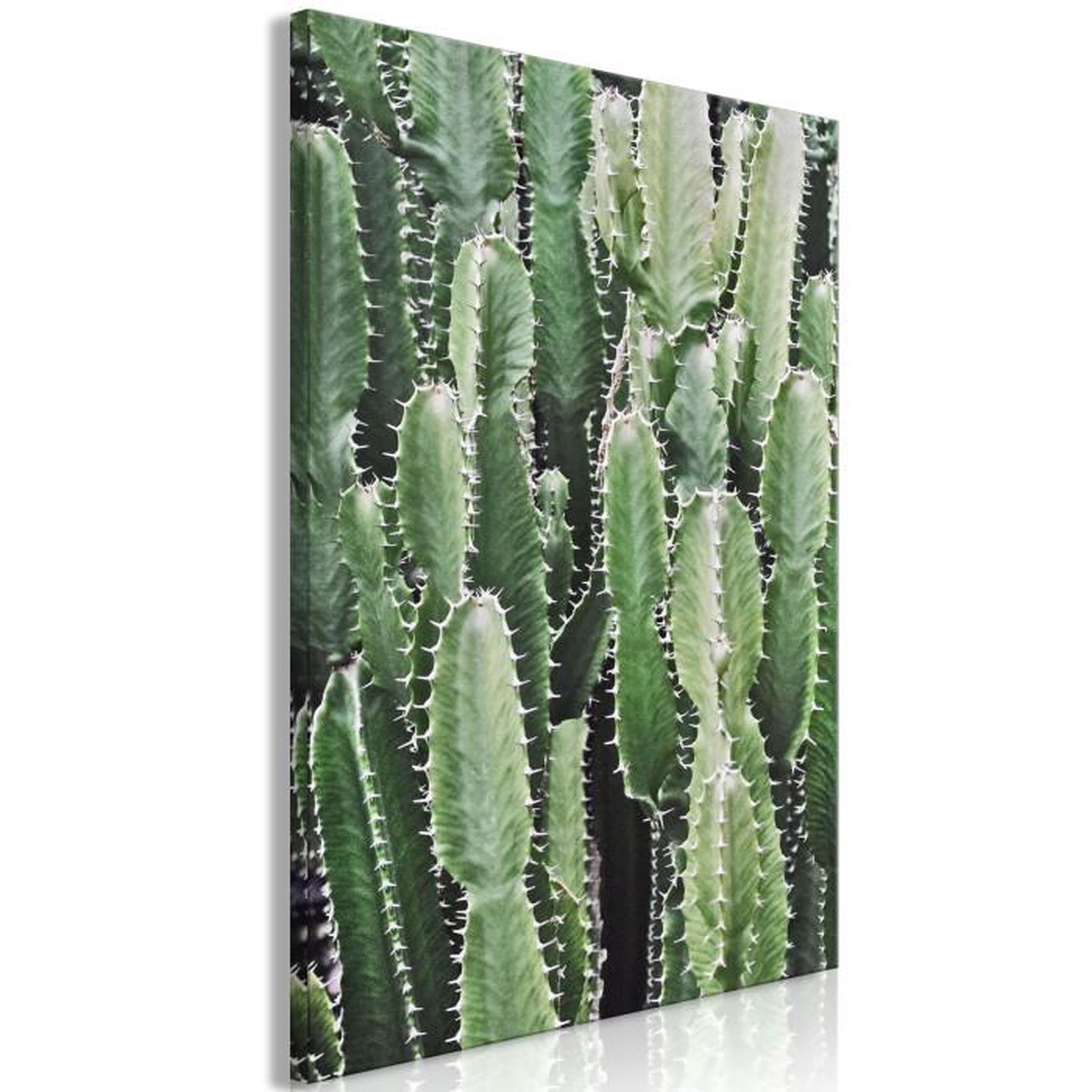 Paris Prix Tableau Imprimé  Cactus Garden. Coloris disponibles : Multicolore