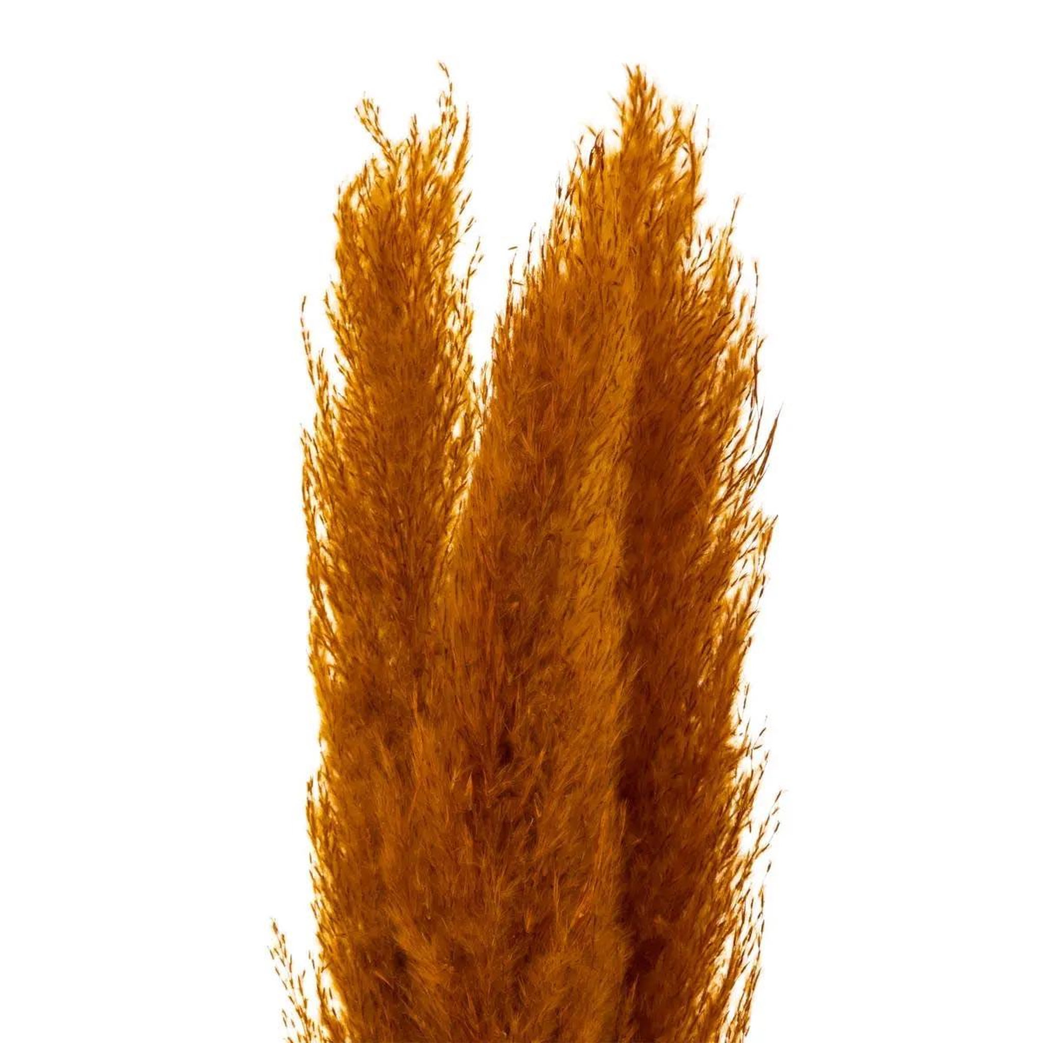 Voir la diapositive 2 : ATMOSPHERA Lot de 3 fleurs artificielles  pampa  109cm orange