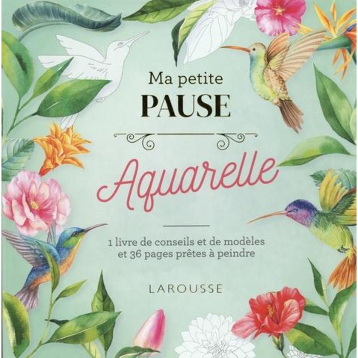 MA PETITE PAUSE AQUARELLE. 1 LIVRE DE CONSEILS ET DE MODELES ET 36 PAGES PRES A PEINDRE, Larousse