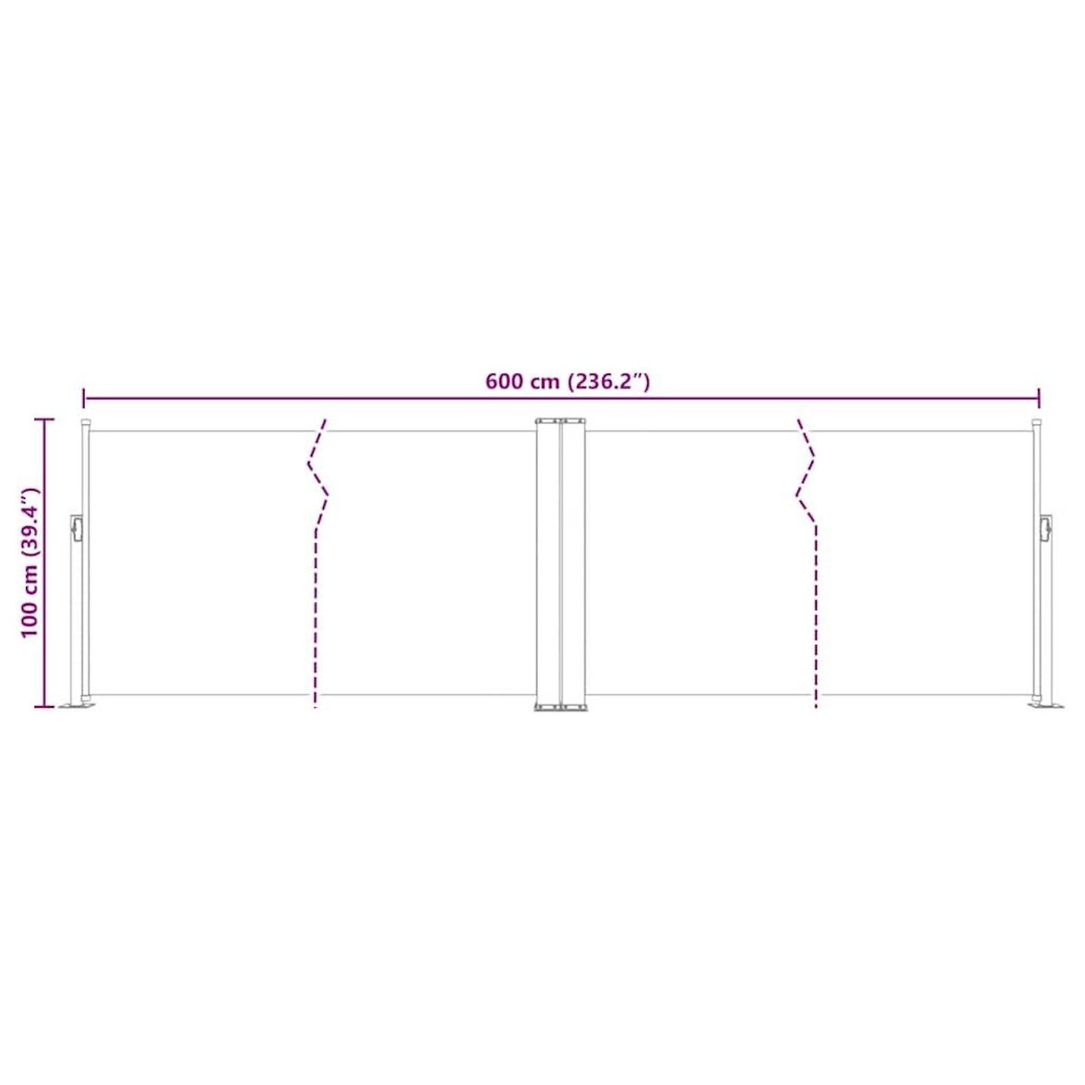 VIDAXL Auvent lateral retractable Noir 100 x 600 cm