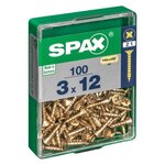 CENTRALE BRICO Lot de 100 vis acier tête fraisée pozidriv SPAX, Diam.3 mm x L.12 mm