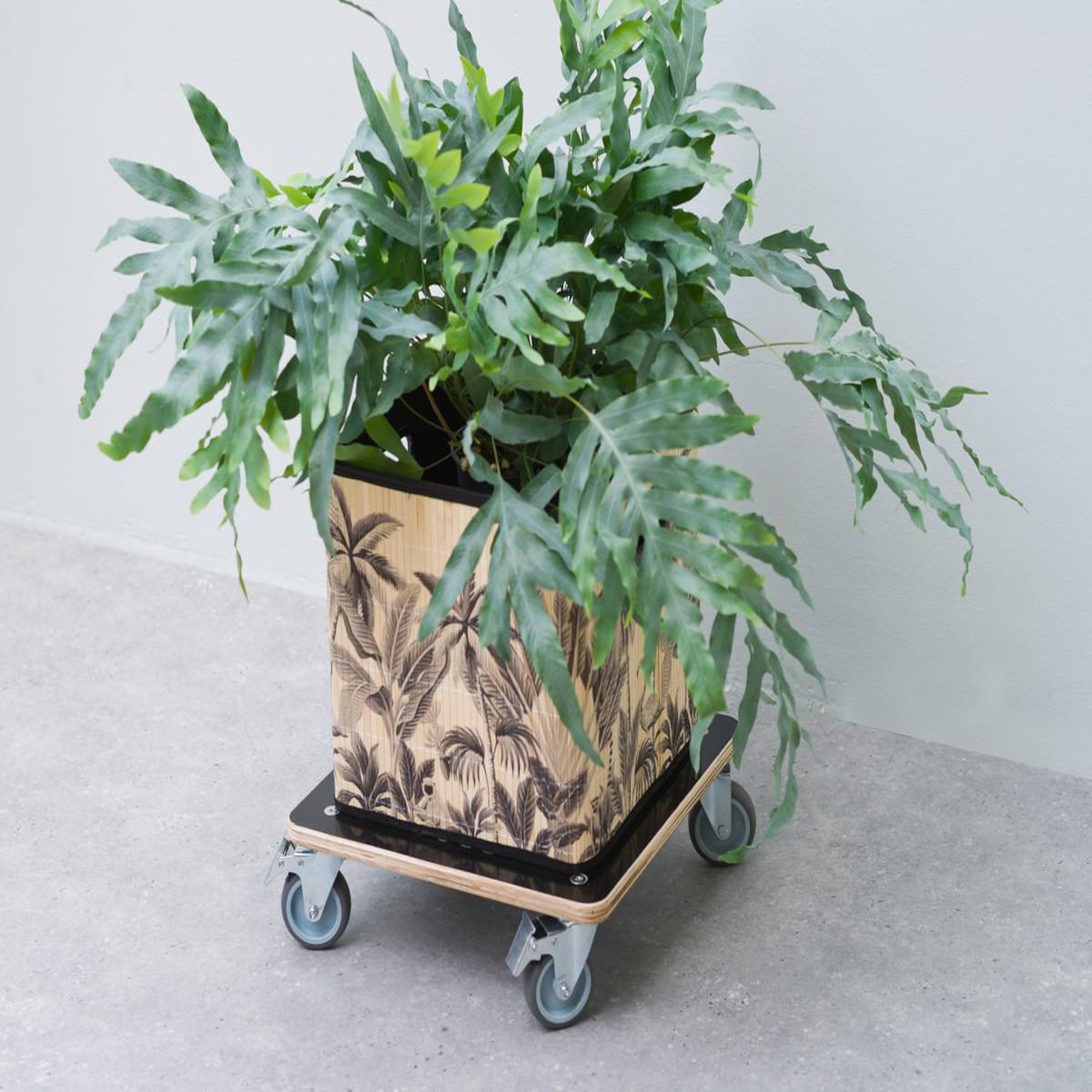 Voir la diapositive 2 : NATURE Support roulant - bois FSC®, coloris noir, charge maxi 250 kg, 4 roulettes - 38 x 38 cm - Nature