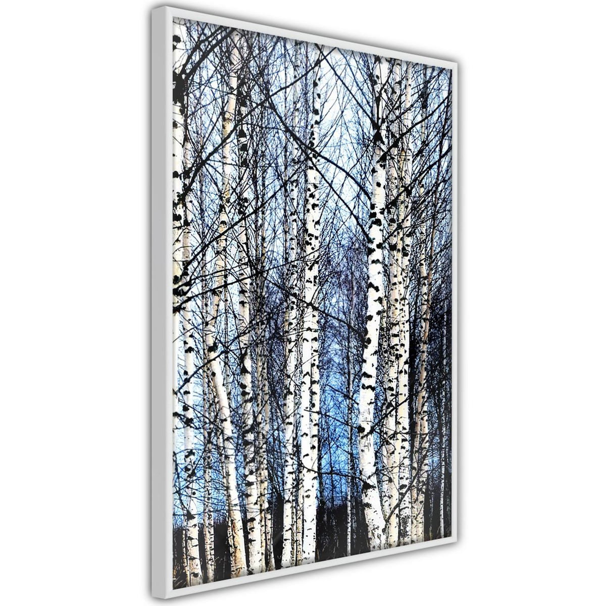 Paris Prix Affiche Murale Encadrée  Winter Birch Trees