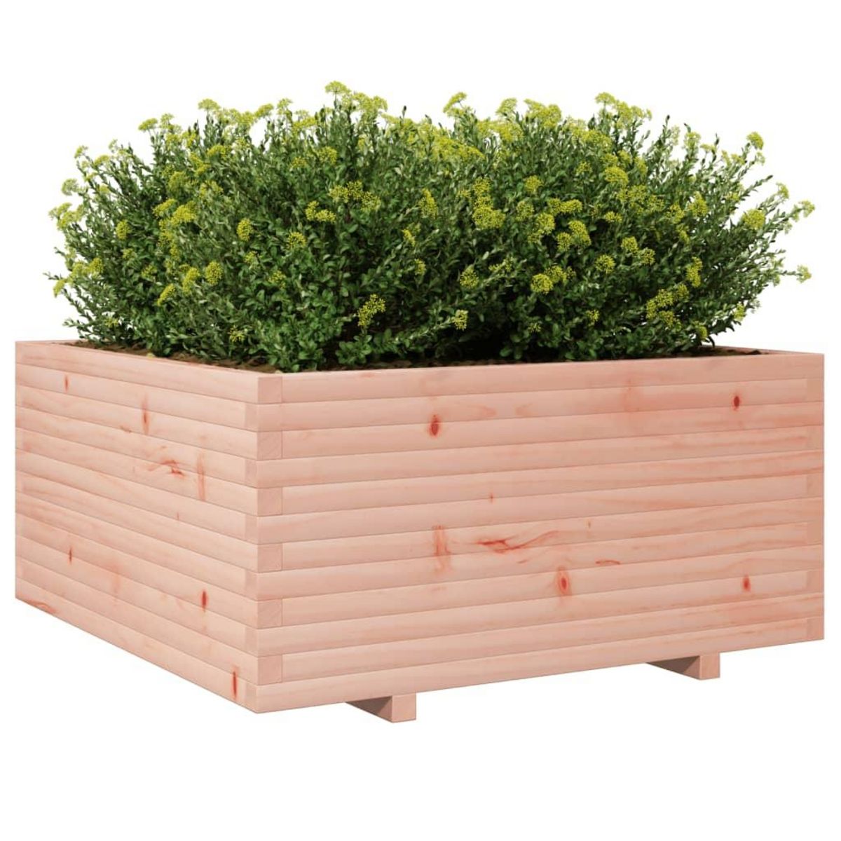 VIDAXL Jardiniere 100x100x49,5 cm bois massif de douglas