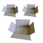 RAJA 3 cartons d'emballage 31 x 21 x 7,5 cm
