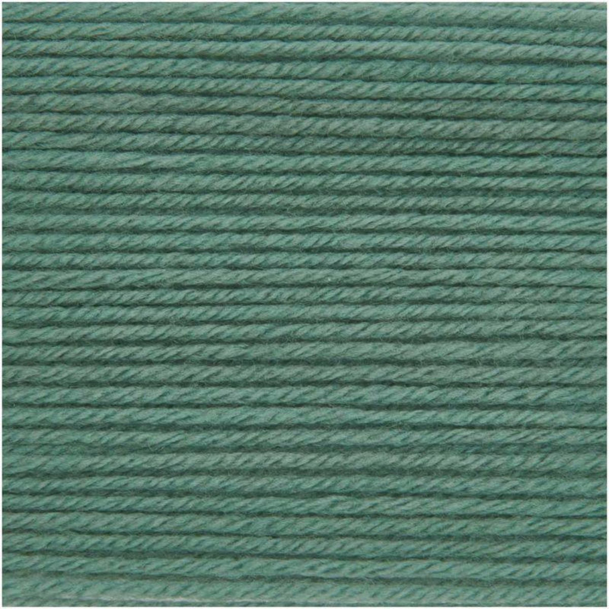 RICO DESIGN Pelote laine mérinos 100 m - Lierre