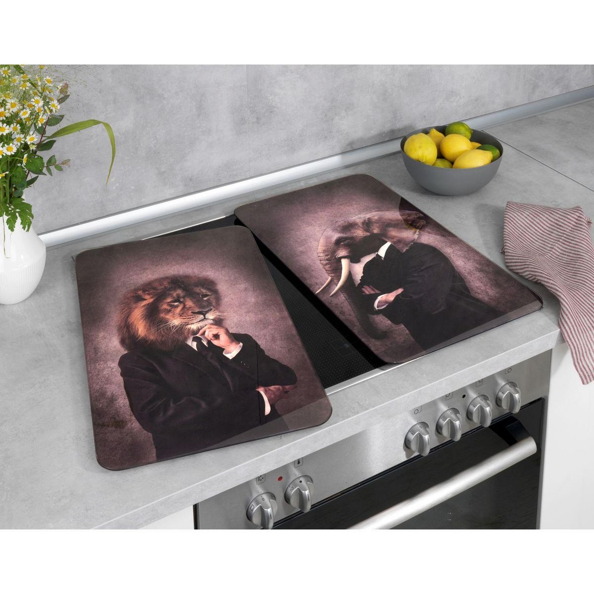 Wenko Lot de 2 Plaques de protection universelle en verre trempé Mâle - Longueur 52 cm x Largeur 30 cm