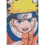 Voir la diapositive 5 : NARUTO Coussin double face - Carré - NARUTO - Naruto et ses amis - Microfibre - 40 x 40 cm