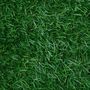 Voir la diapositive 3 : ID MARKET Gazon synthétique artificiel 1x10 M 20 mm pour jardin et balcon