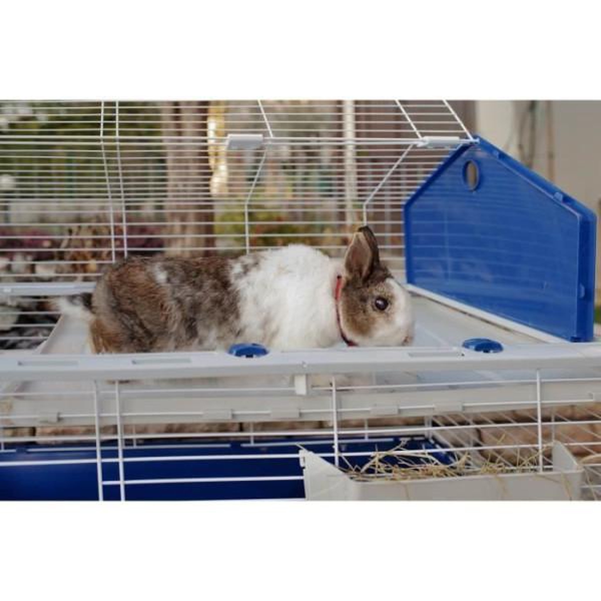 Voir la diapositive 3 : Ferplast Cage pour lapins avec accessoires 78* 48*65 cm - FERPLAST