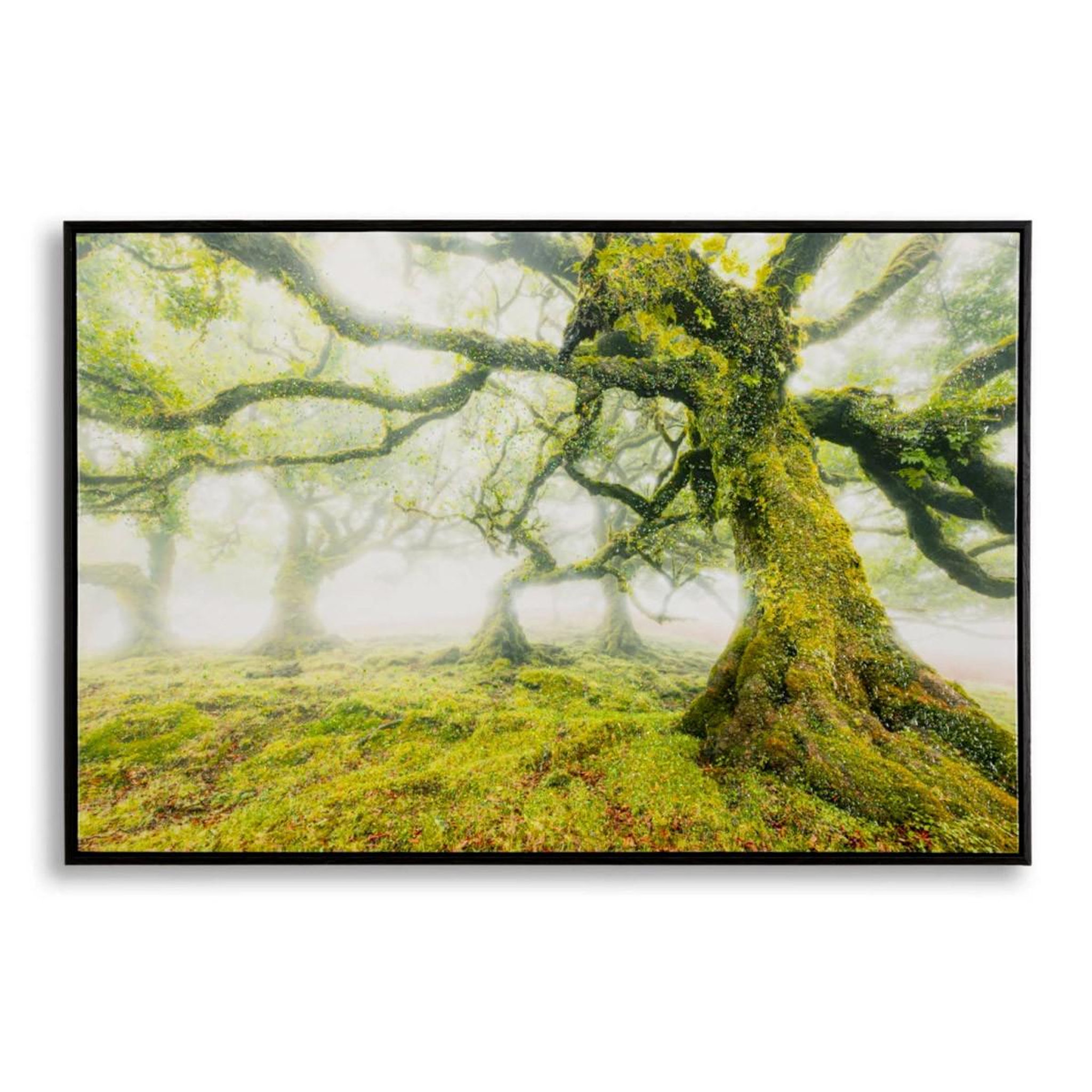 Paris Prix Tableau imprimé  forêt  90x60cm vert