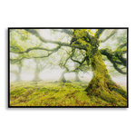 Paris Prix Tableau Imprimé  Forêt  90x60cm Vert