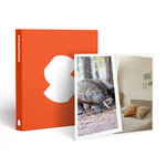 Smartbox Séjour en famille au ZooParc de Beauval 2026: entrées 2 adulte et 1 enfant (2 journées) et 1 nuit à proximité - Coffret Cadeau Multi-thèmes