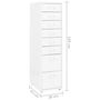 Voir la diapositive 6 : VIDAXL Classeur mobile Blanc 28x41x109 cm Metal