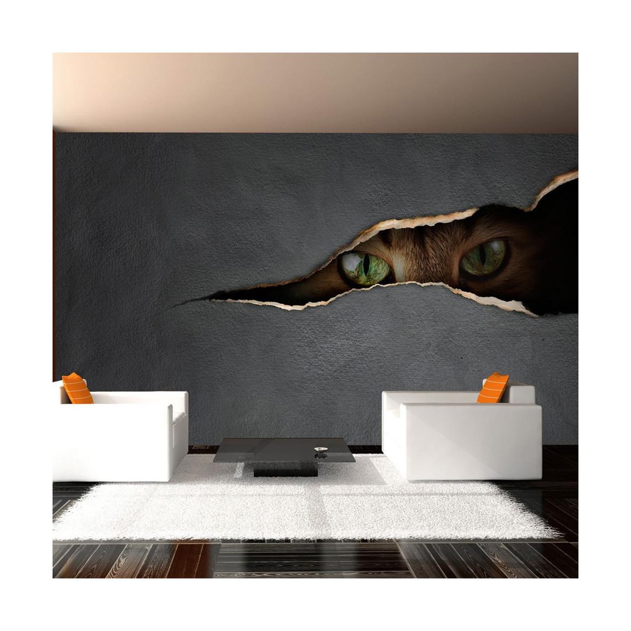 Paris Prix Papier peint  regard du chat  270x450cm