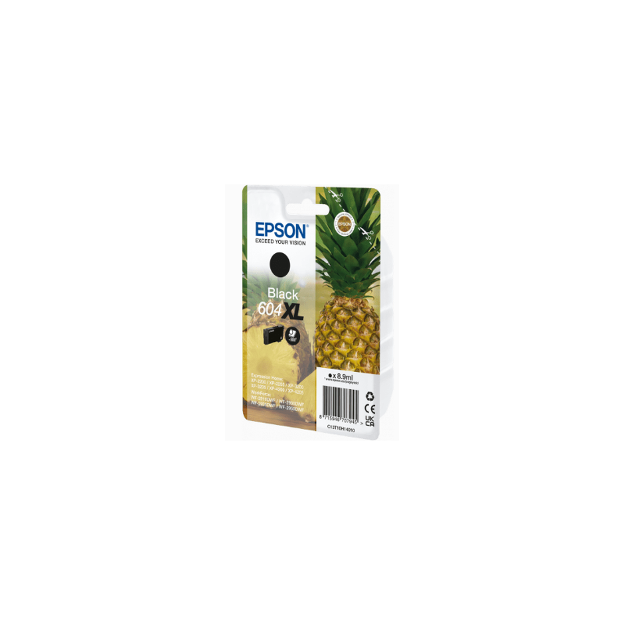 Epson Consommable EPSON C13T10H14010