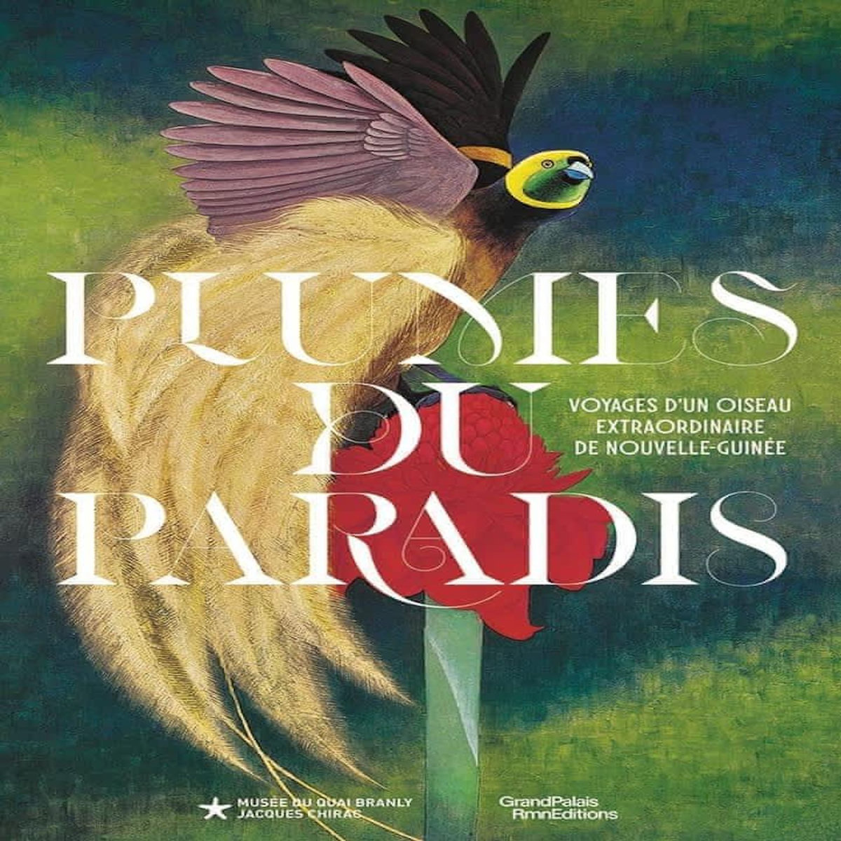 PLUMES DU PARADIS. VOYAGES D'UN OISEAU EXTRAORDINAIRE DE NOUVELLE-GUINEE, Mélandri Magali