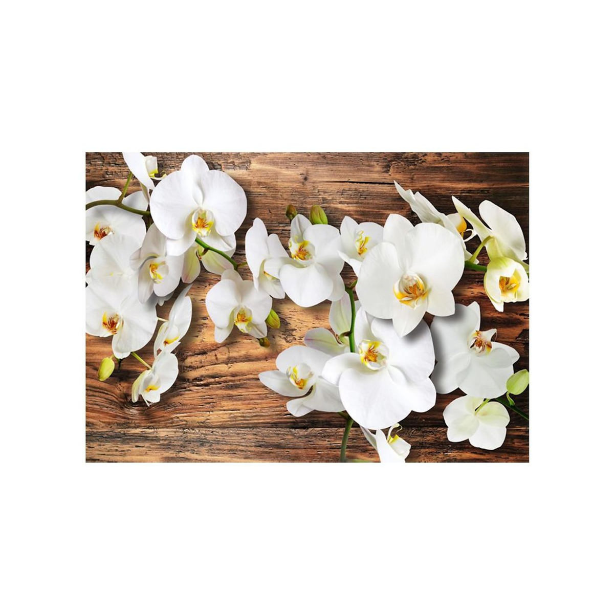 Paris Prix Papier Peint  Forest Orchid