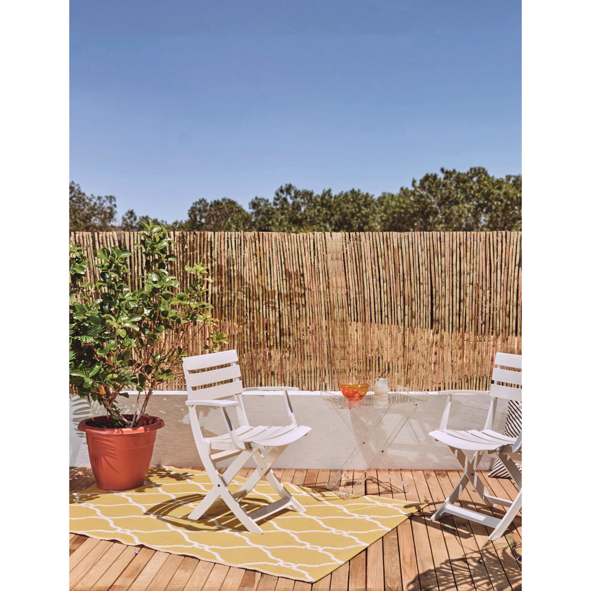 Catral Canisse roseau fendu 1,5x5 m