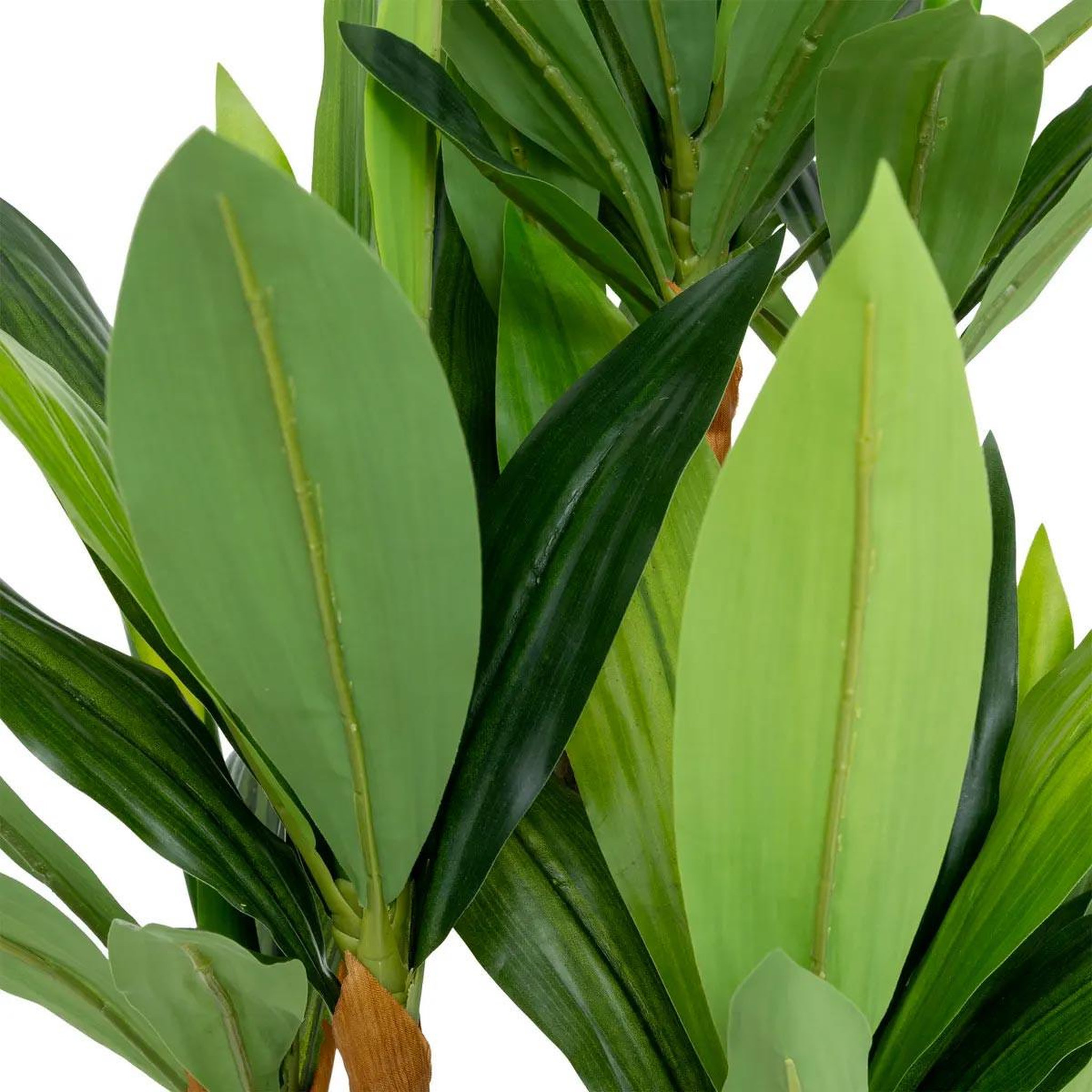 Voir la diapositive 2 : ATMOSPHERA Plante artificielle dracena  onia  105cm vert