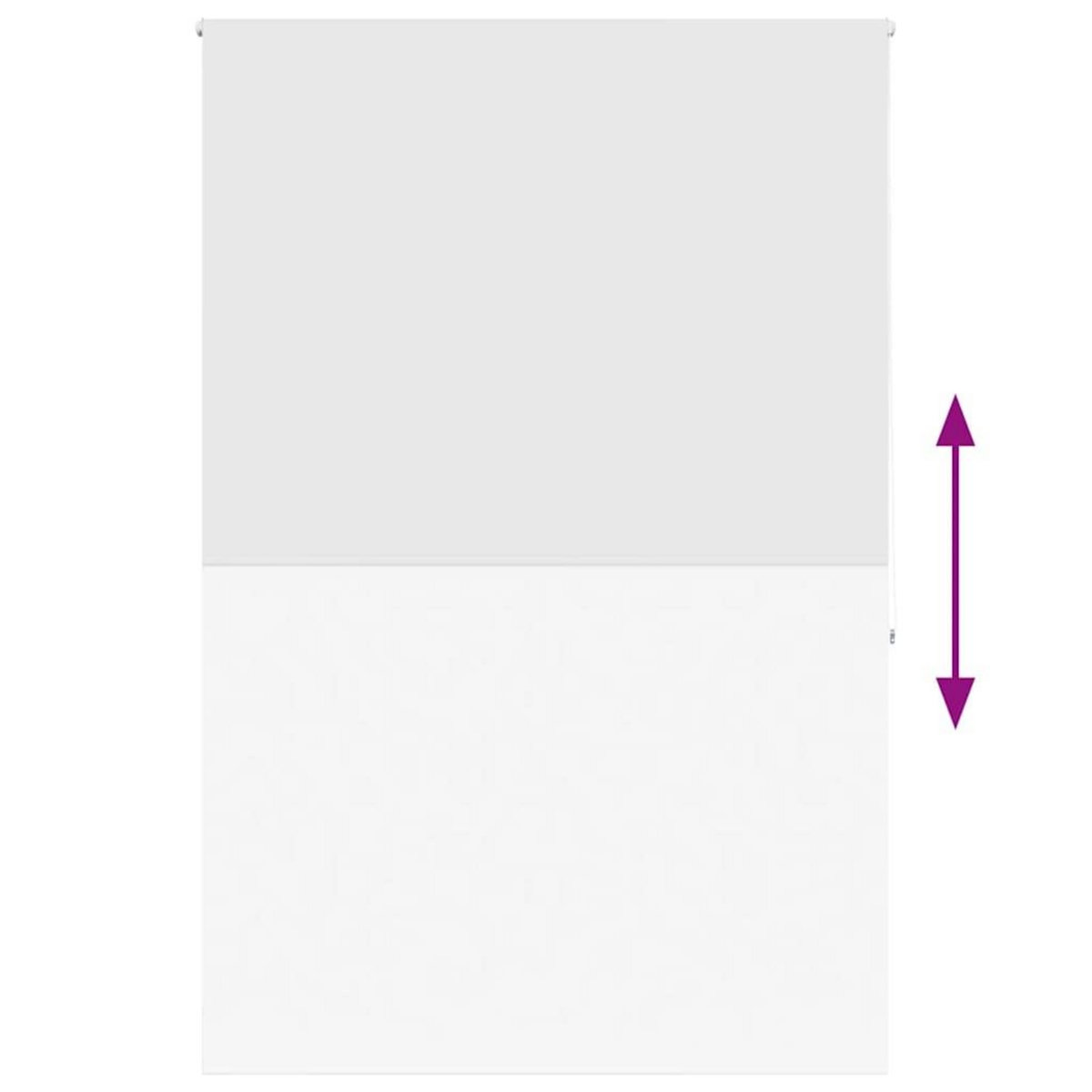 VIDAXL Store enrouleur de douche 150x240 cm largeur du tissu 146 cm