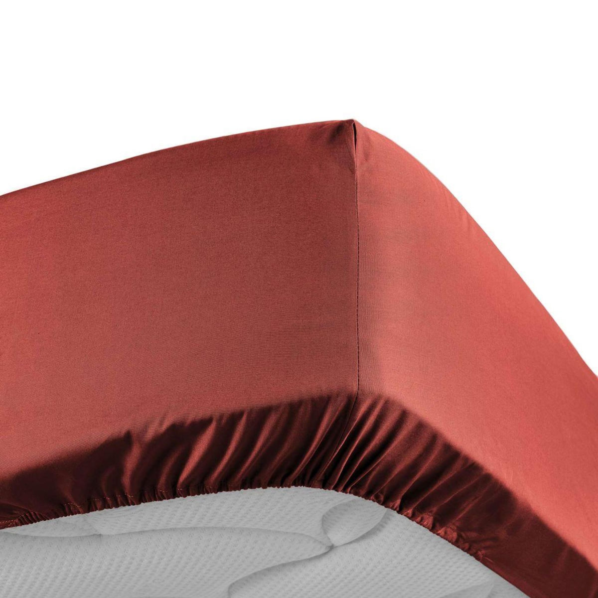 Paris Prix Drap Housse  Percaline  90x190cm Terracotta