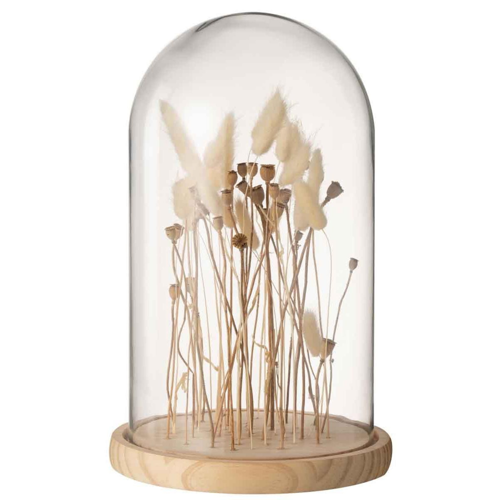 J-LINE Cloche en verre déco  fleurs séchées  38cm écru