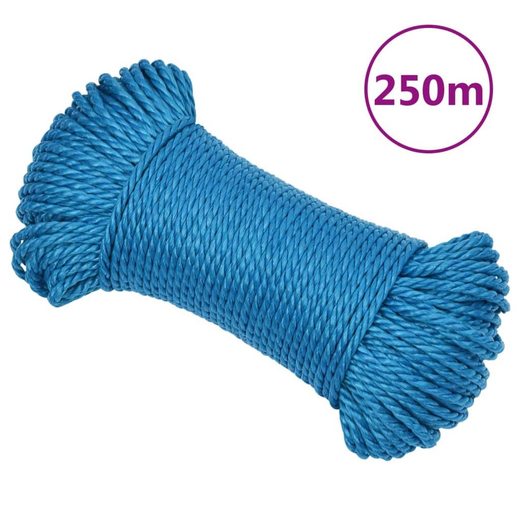VIDAXL Corde de travail Bleu 6 mm 250 m Polypropylene