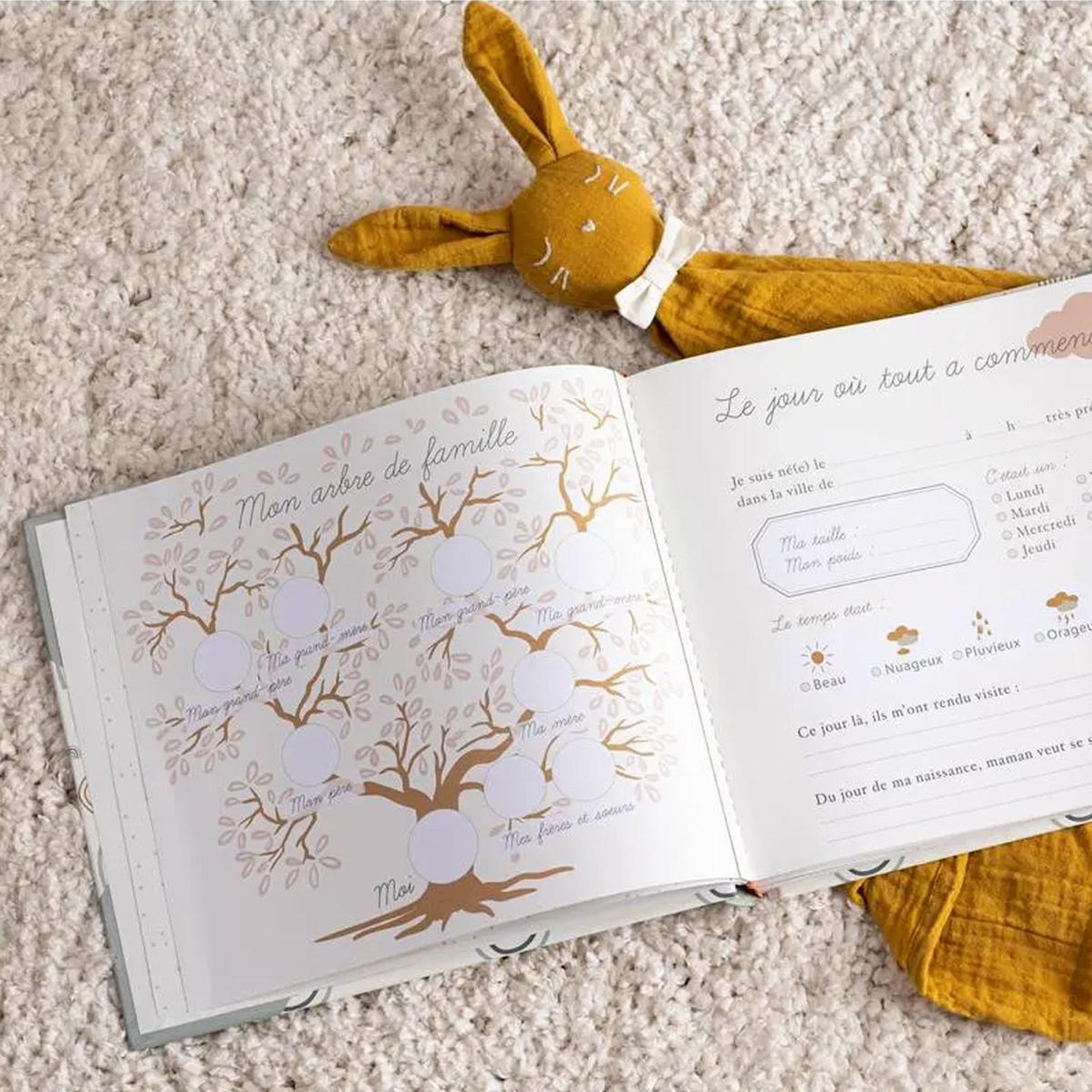 Voir la diapositive 2 : Atmosphera Kids Livre de naissance bébé  album  27cm vert