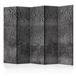 Paris Prix Paravent 5 Volets  Grey Storm  172x225cm