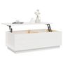 Voir la diapositive 5 : VIDAXL Table basse Blanc 100x50x35 cm Bois massif de pin
