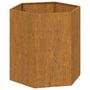 Voir la diapositive 2 : VIDAXL Jardiniere Rouille 40x40x45 cm Acier corten