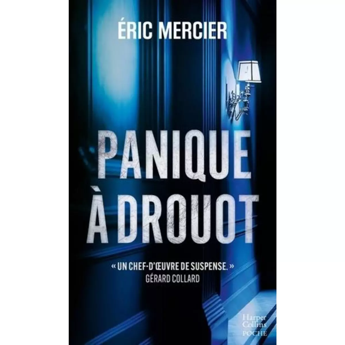  PANIQUE A DROUOT, Mercier Eric