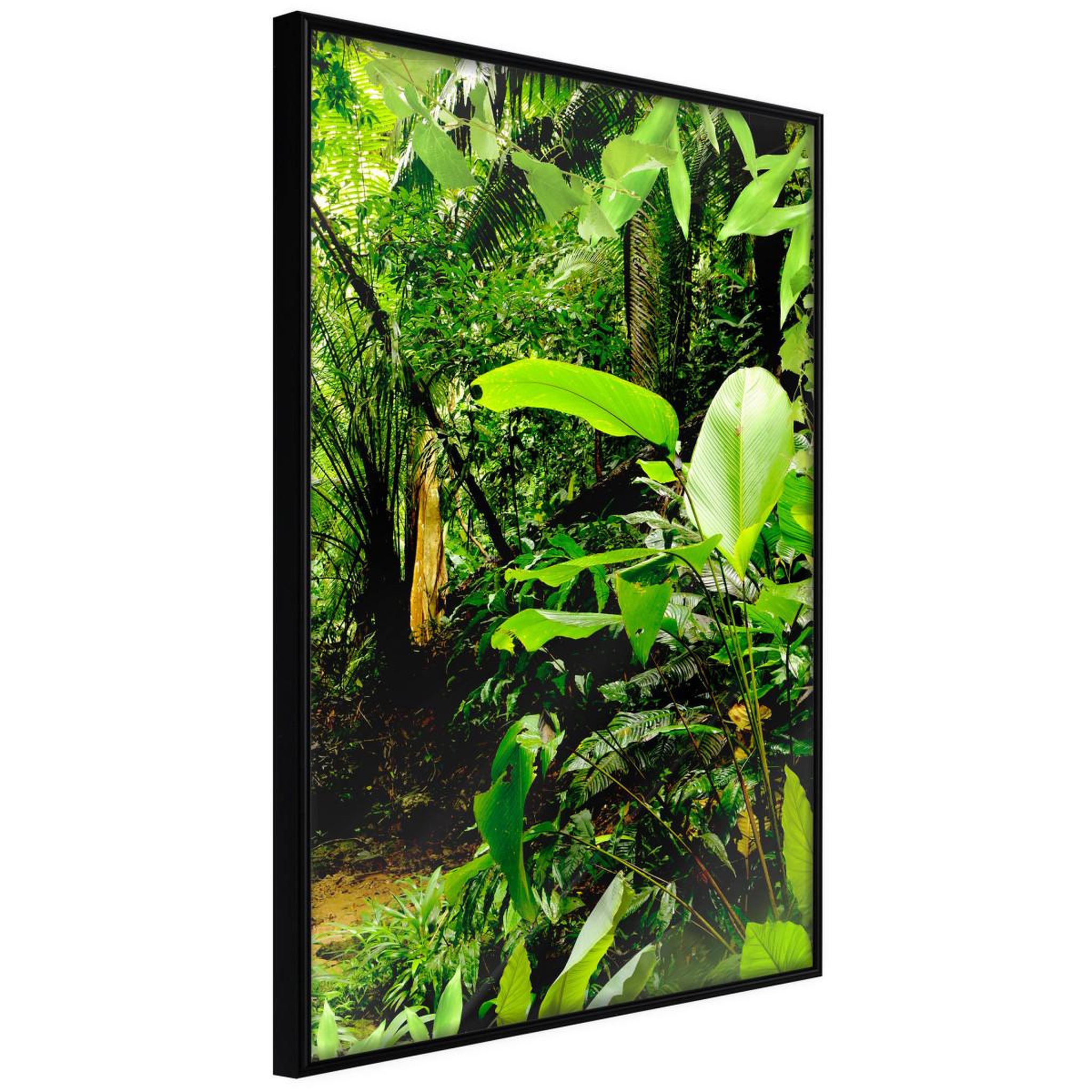 Paris Prix Affiche murale encadrée  in the rainforest. Coloris disponibles : Noir, Jaune