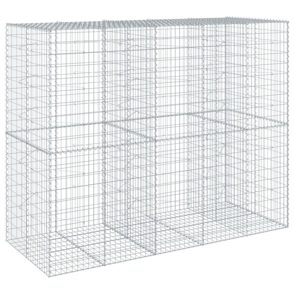VIDAXL Panier gabion avec couvercle 250x100x200 cm fer galvanise
