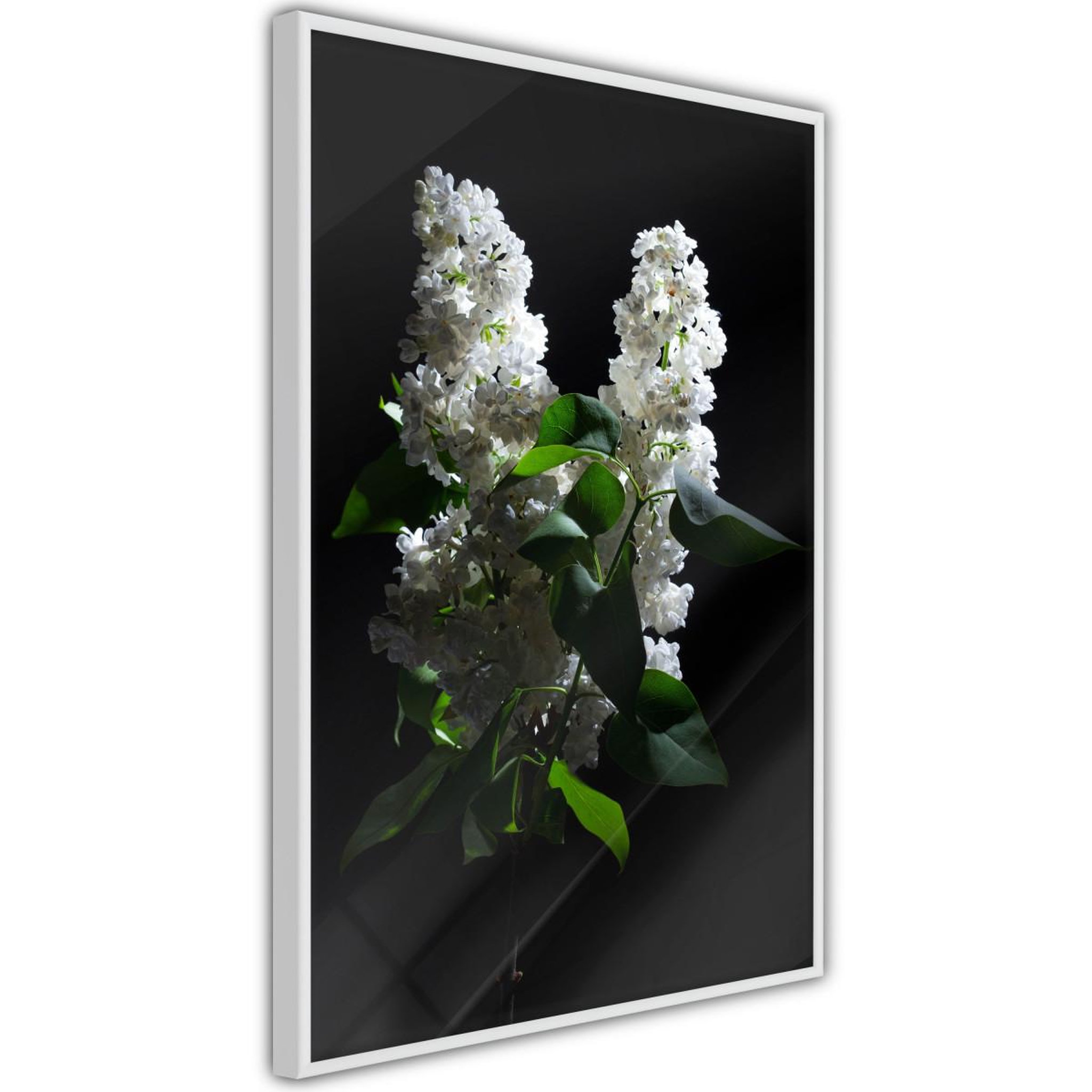 Paris Prix Affiche murale encadrée  white lilac
