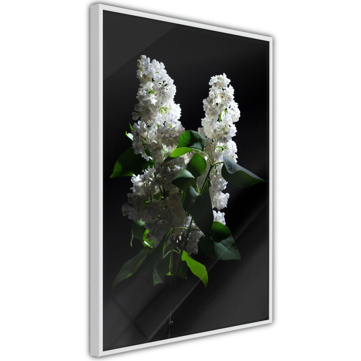 Paris Prix Affiche Murale Encadrée  White Lilac