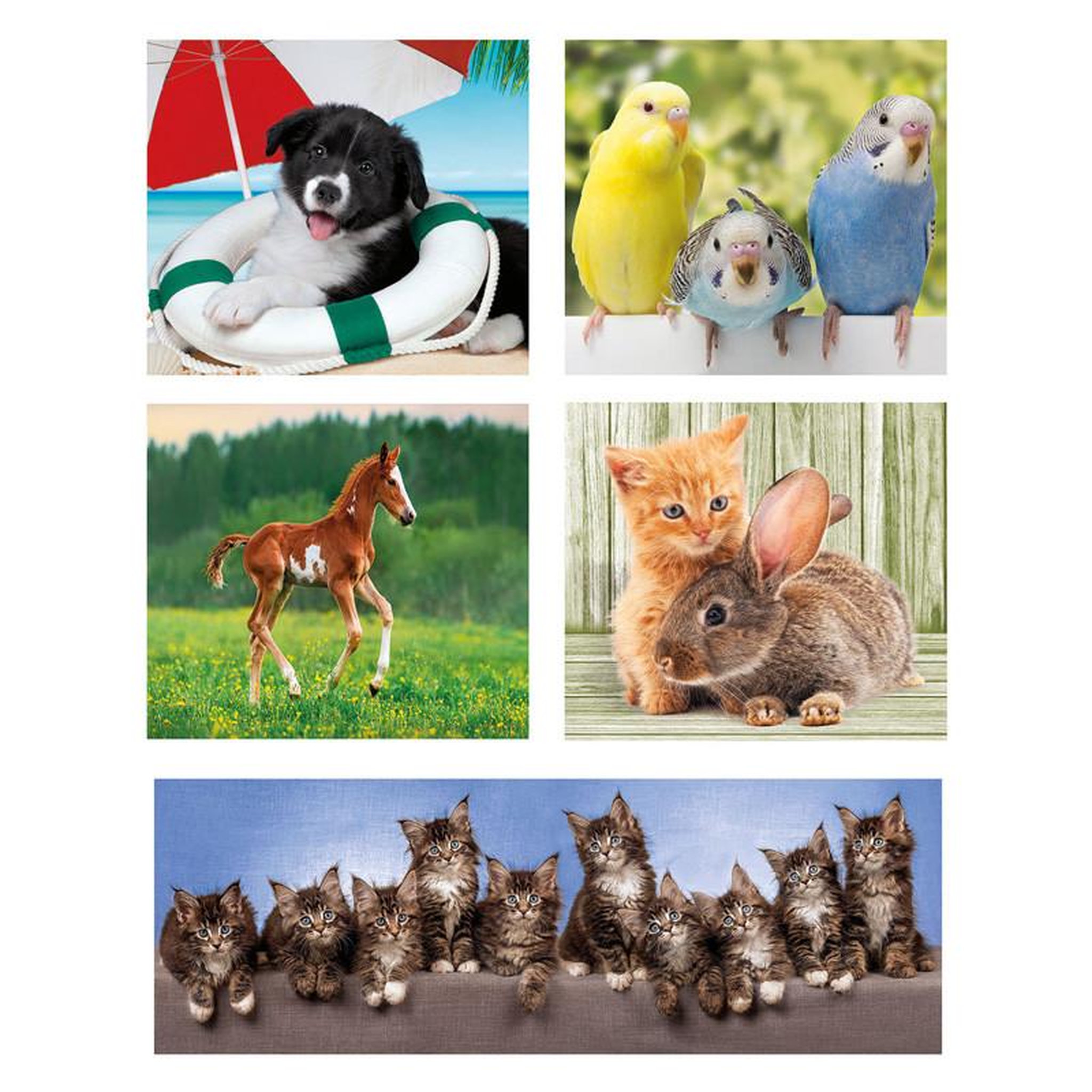 Voir la diapositive 2 : CLEMENTONI Clementoni Jigsaw Puzzle Super Color 10in1 Animal Friends 20283