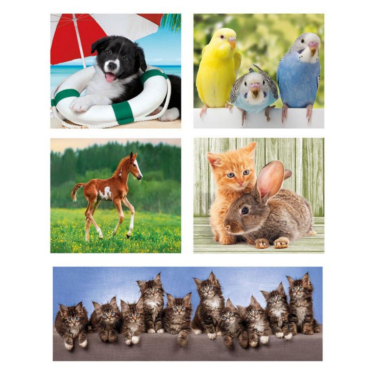 CLEMENTONI Clementoni Jigsaw Puzzle Super Color 10in1 Animal Friends 20283