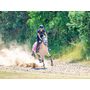 Voir la diapositive 4 : Smartbox Aventure insolite - Coffret Cadeau Sport & Aventure