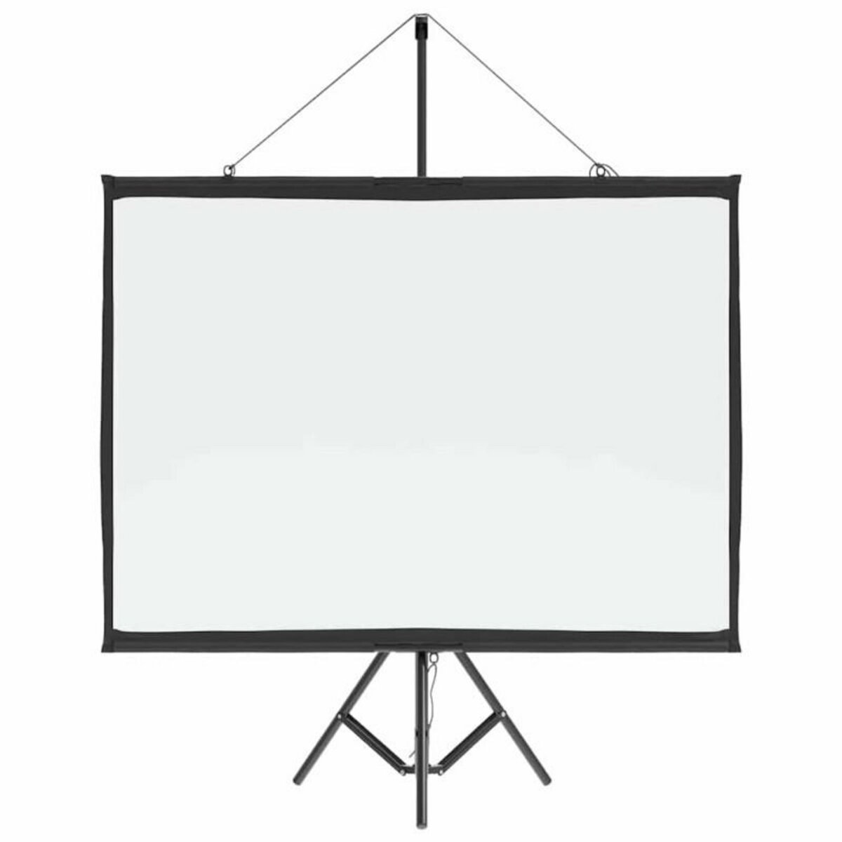 VIDAXL Écran de projection avec trépied 60 pouces 4 3