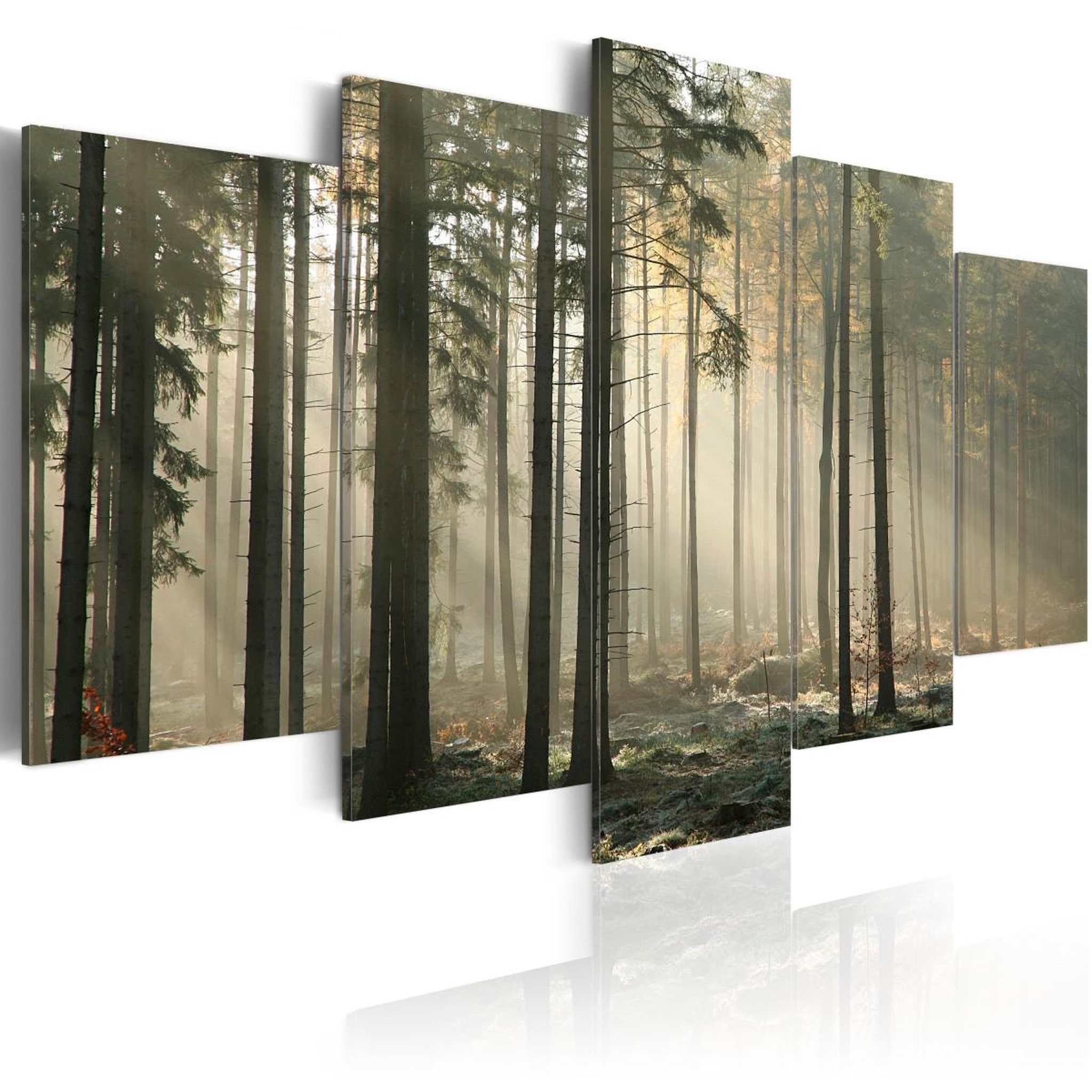 Paris Prix Tableau imprimé  lumière dans une sombre forêt. Coloris disponibles : Multicolore
