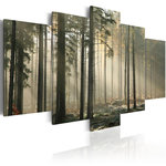 Paris Prix Tableau Imprimé  Lumière dans une Sombre Forêt. Coloris disponibles : Multicolore