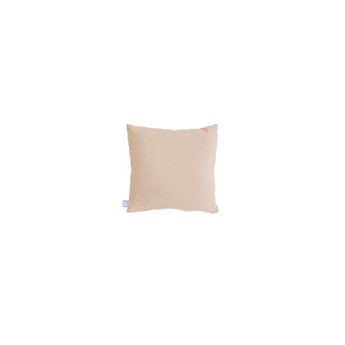Paris Prix Lot de 2 Coussins Déco  Paulina  30x50cm Champagne