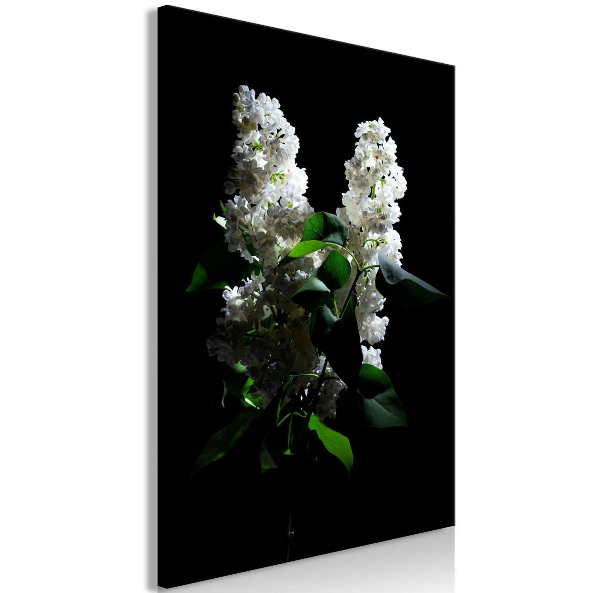 Voir la diapositive 1 : Paris Prix Tableau imprimé  lilacs at night