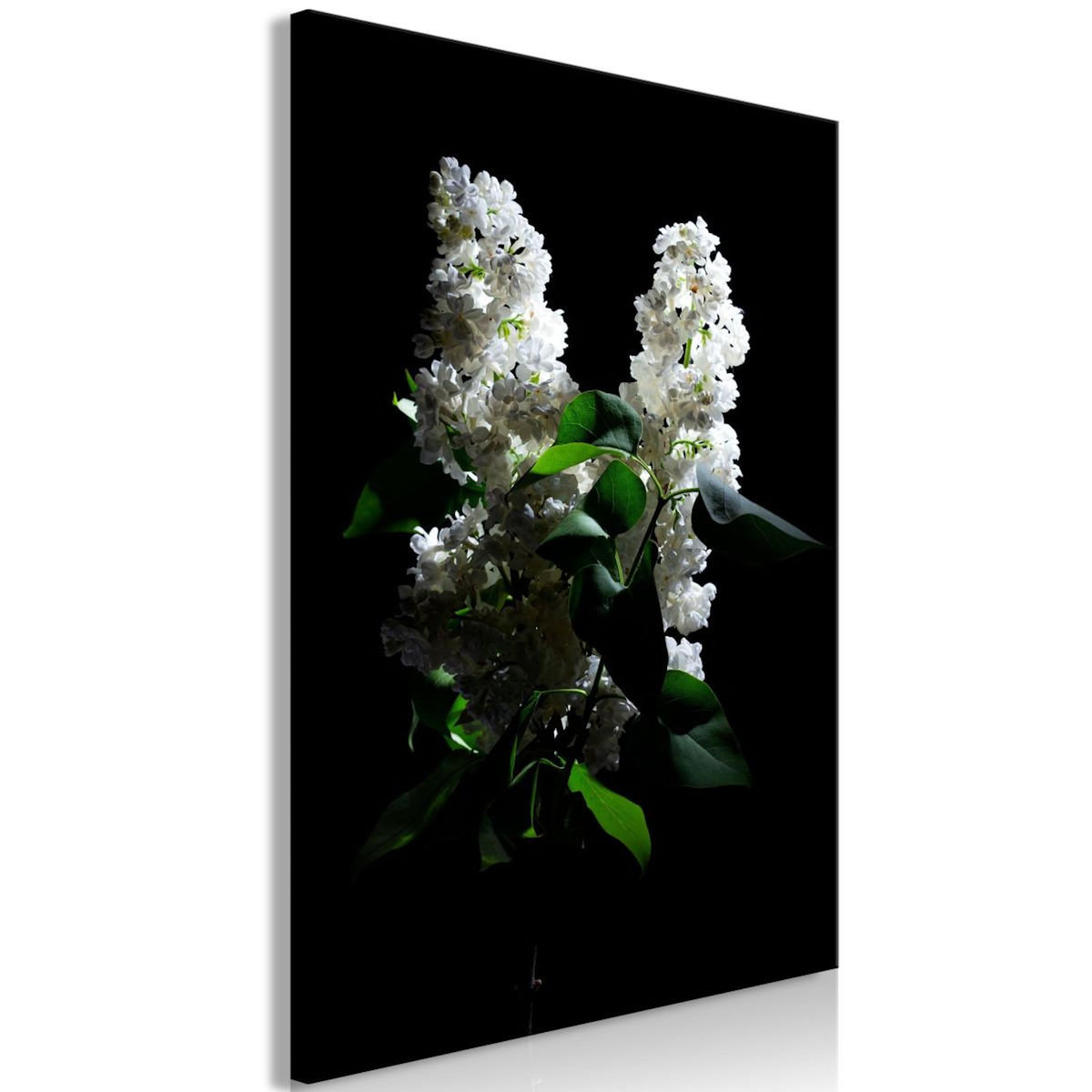 Paris Prix Tableau Imprimé  Lilacs at Night