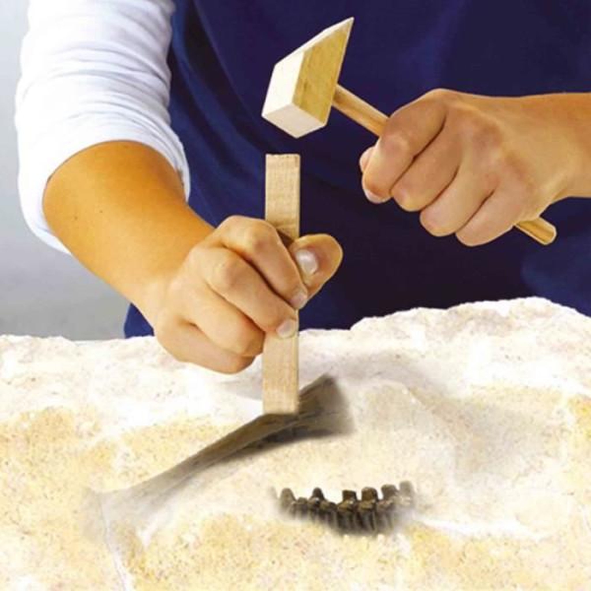 Voir la diapositive 5 : SES CREATIVE Fouille de dinosaures et de squelettes 2 en 1 - T-rex - SES CREATIVE