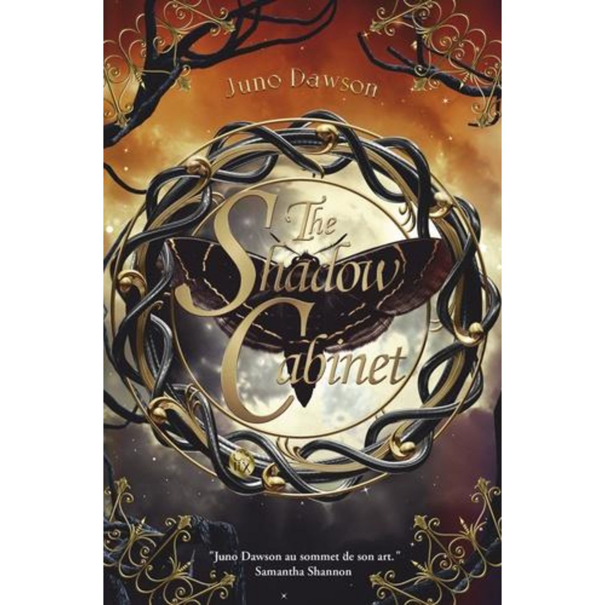 THE ROYAL COVEN TOME 2 : THE SHADOW CABINET, Dawson Juno