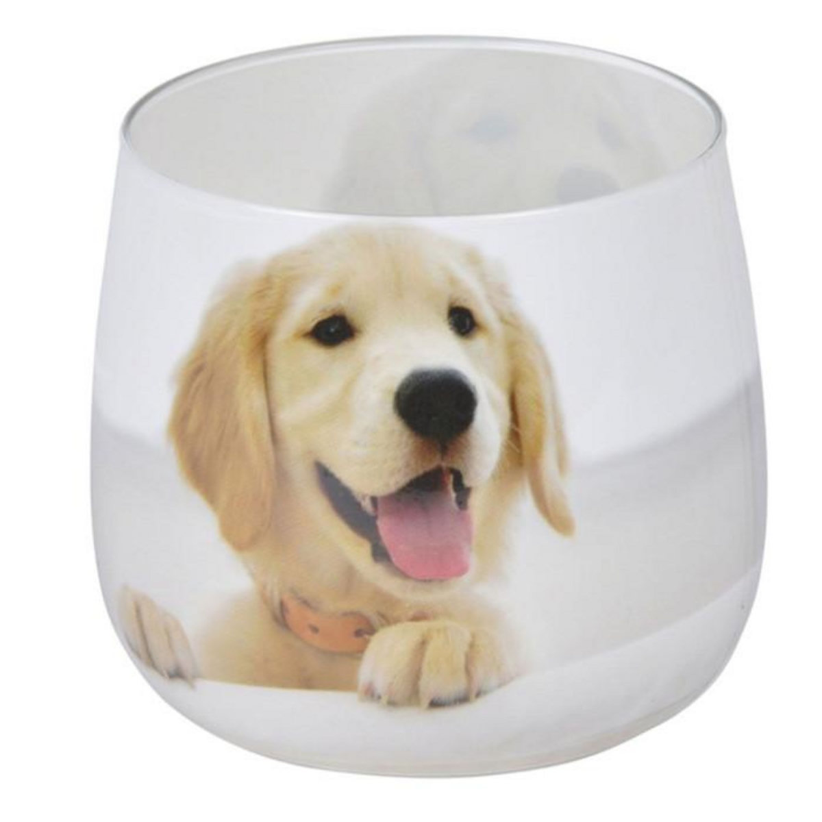 Paris Prix Bougie Anti-Odeurs  Chien  8cm Blanc
