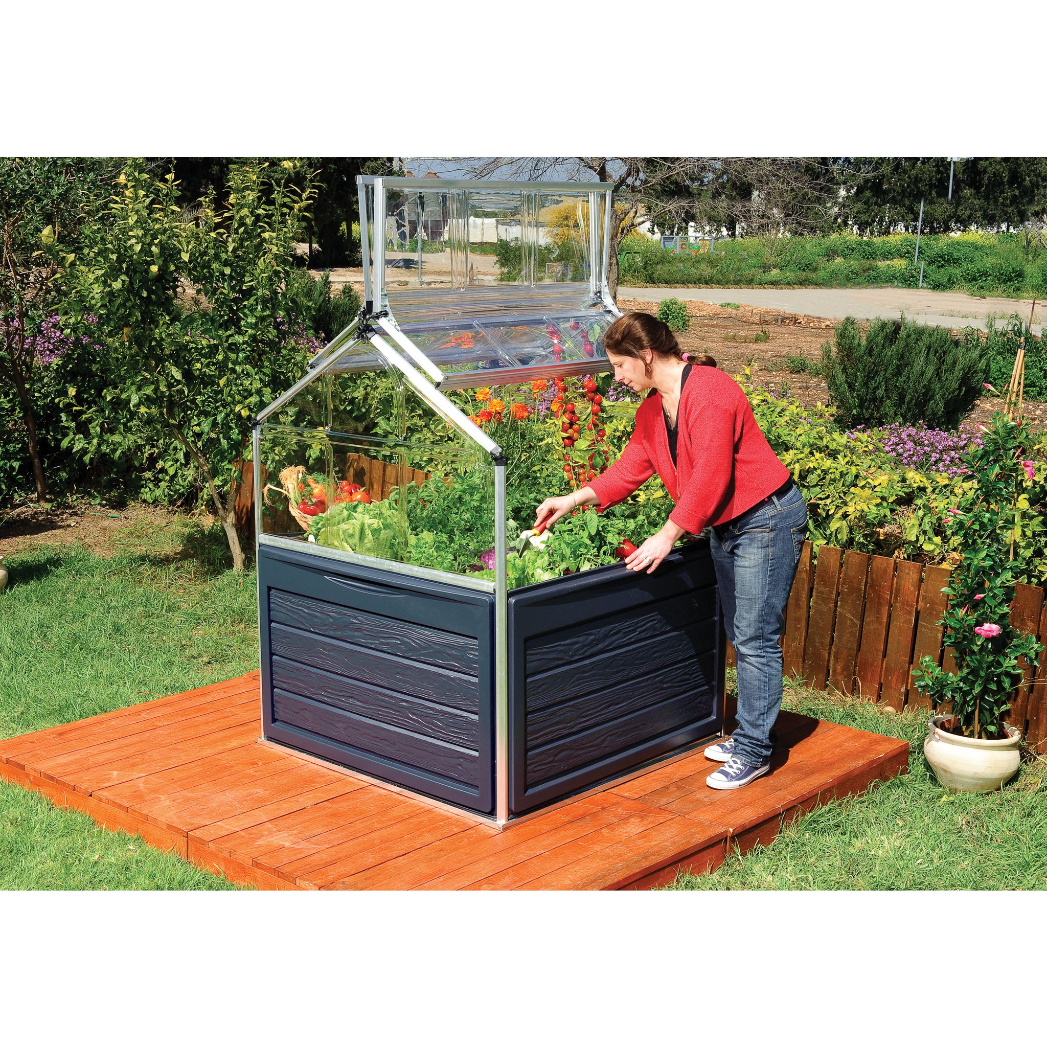 Canopia by PALRAM Mini-serre de jardin - Polycarbonate - 1,4m² - PLANT INN